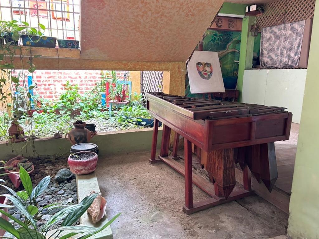Hotel El Delfin Livingston Ngoại thất bức ảnh